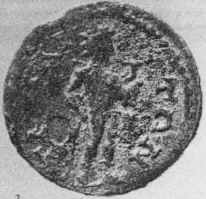 Tmolus 3.JPG